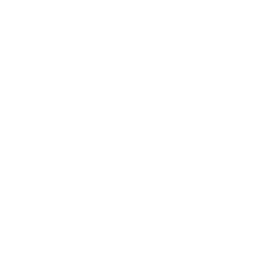 Setareh Law American bar association
