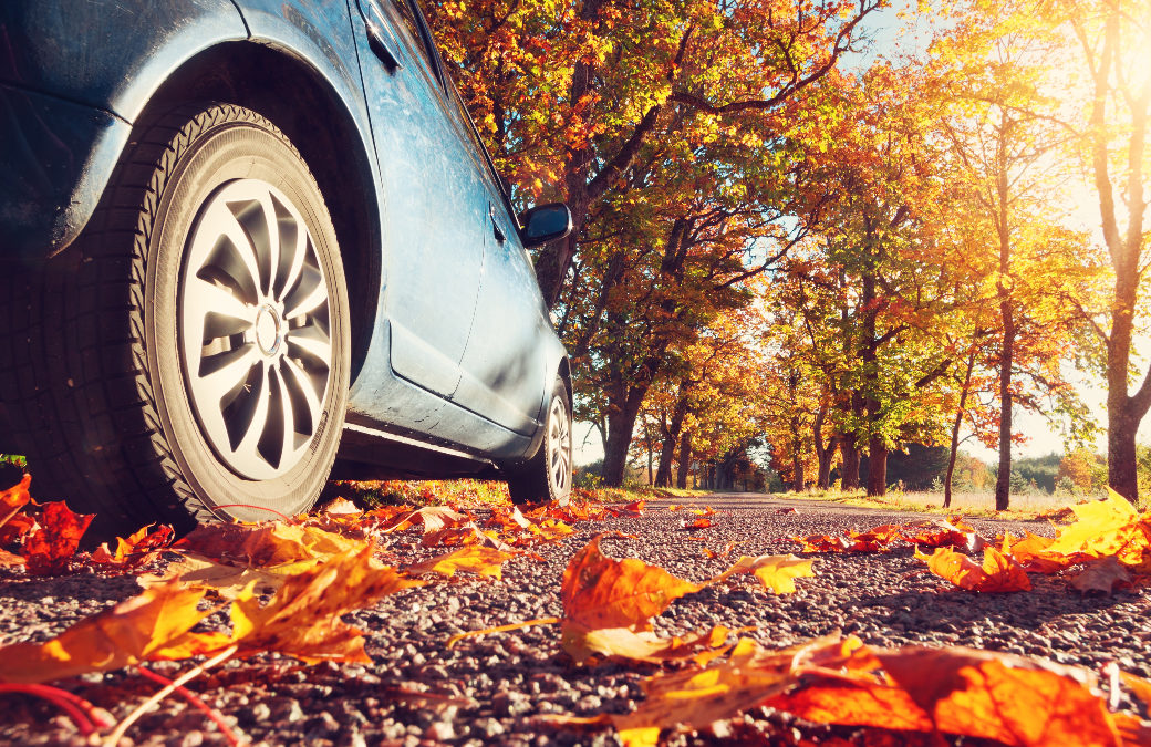 5 Fall Safety Tips for New California Drivers