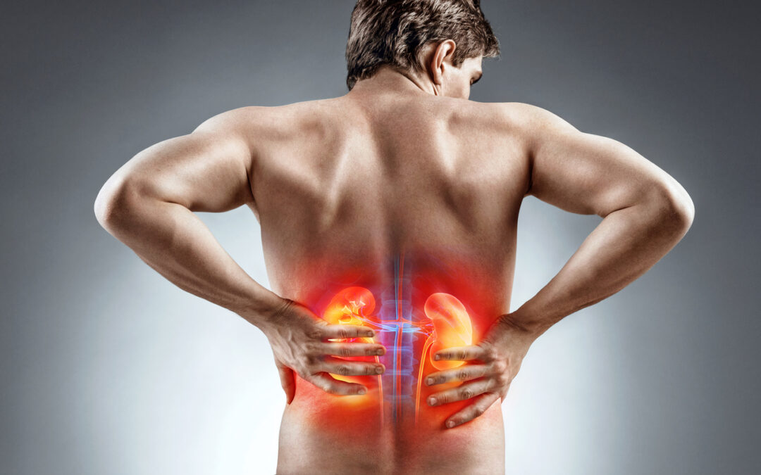 Navigating Renal Trauma After an Accident