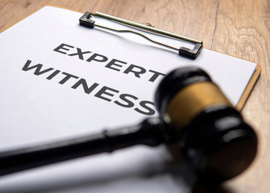 Expert Witness