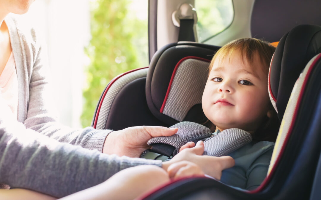 Idaho Front Seat Weight Requirements: Child Passenger Safety Laws Guide