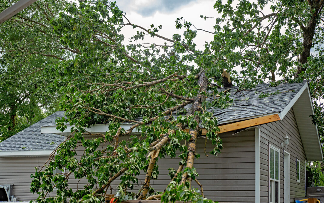Are Property Owners Responsible for Storm-Related Injuries?