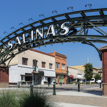 Salinas