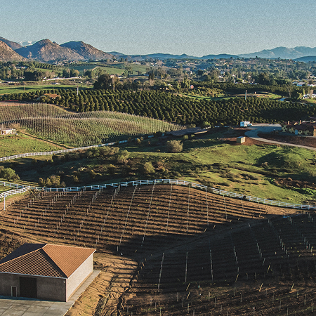 Temecula