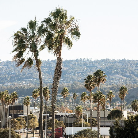Torrance